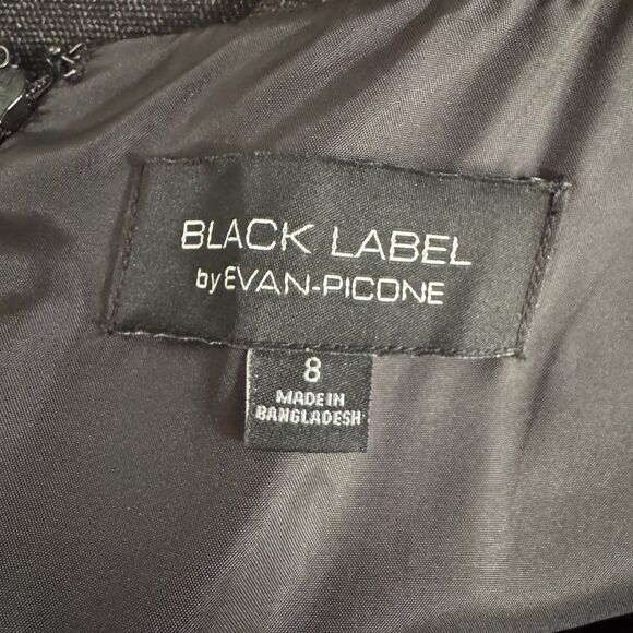 BLACK LABEL EVAN PICONE Sleeveless Dress Career Professional Colorblock EUC 8 - Picture 6 of 6